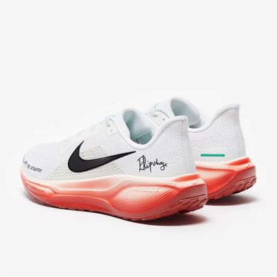 Nike Air Zoom Pegasus 41